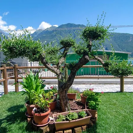 Апартаменты Mit Dachterrasse *